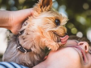 Do You Let Your Dog Lick Your Face?